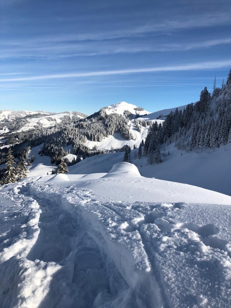 02_16. Jan 21_SAC Schneeschuhtour Schwarzsee (107).jpg